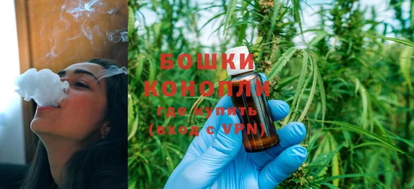 шишки Рославль