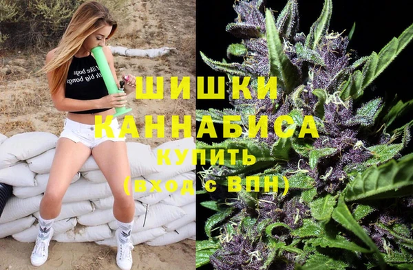 шишки Рославль