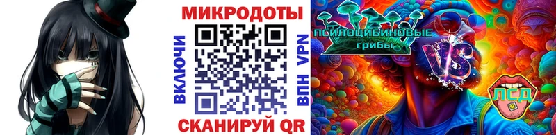 Псилоцибиновые грибы прущие грибы  Гай 